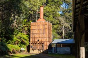 This lesser-known regional park near Melbourne is filled with quiet forest trails, a waterfall and even a kiln from WWII