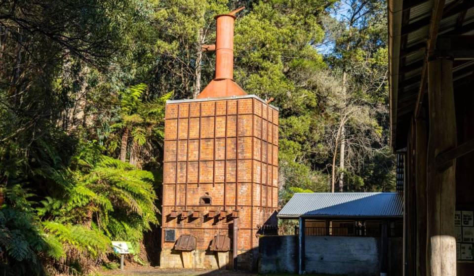 This lesser-known regional park near Melbourne is filled with quiet forest trails, a waterfall and even a kiln from WWII