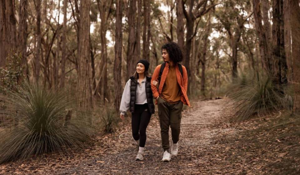This 641-hectare regional park in Ballarat has just opened a new 10,000 Steps Loop trail