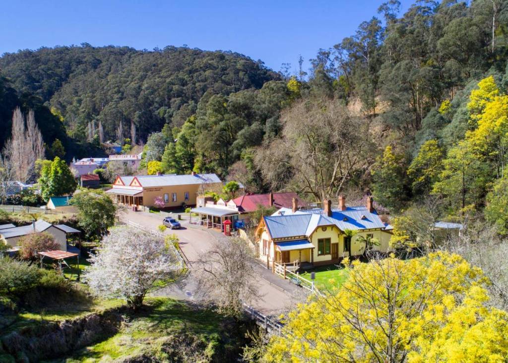 aerial view of Walhalla streetscape, with wattle tree blooming