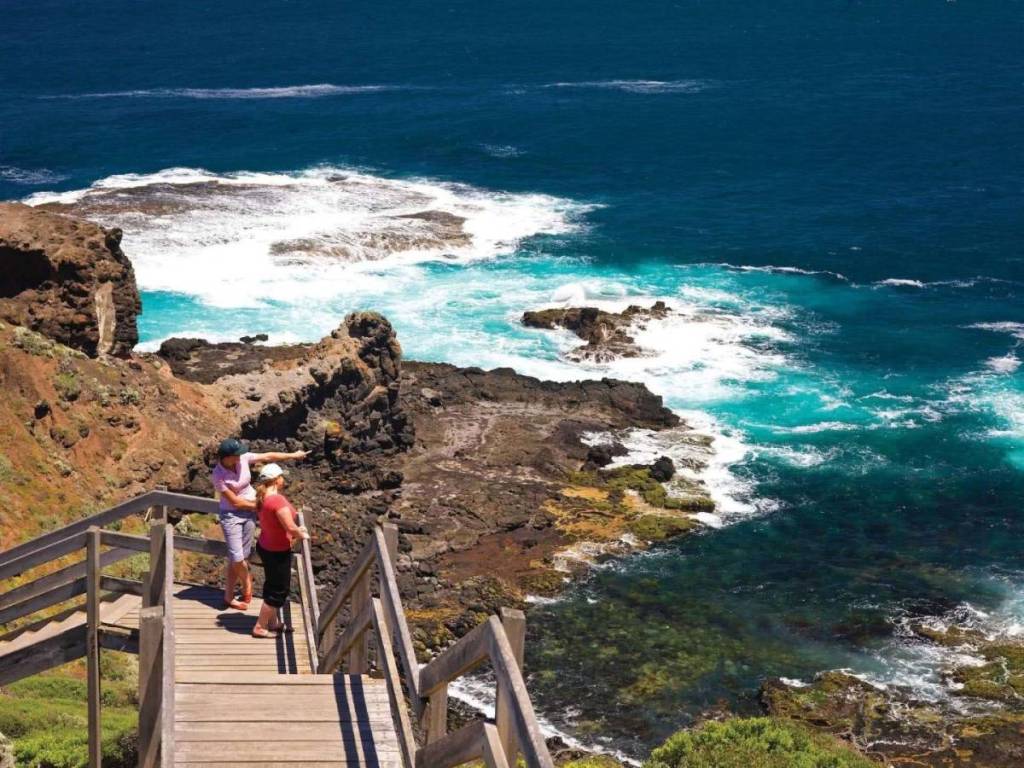 bushrangers bay nature walk
