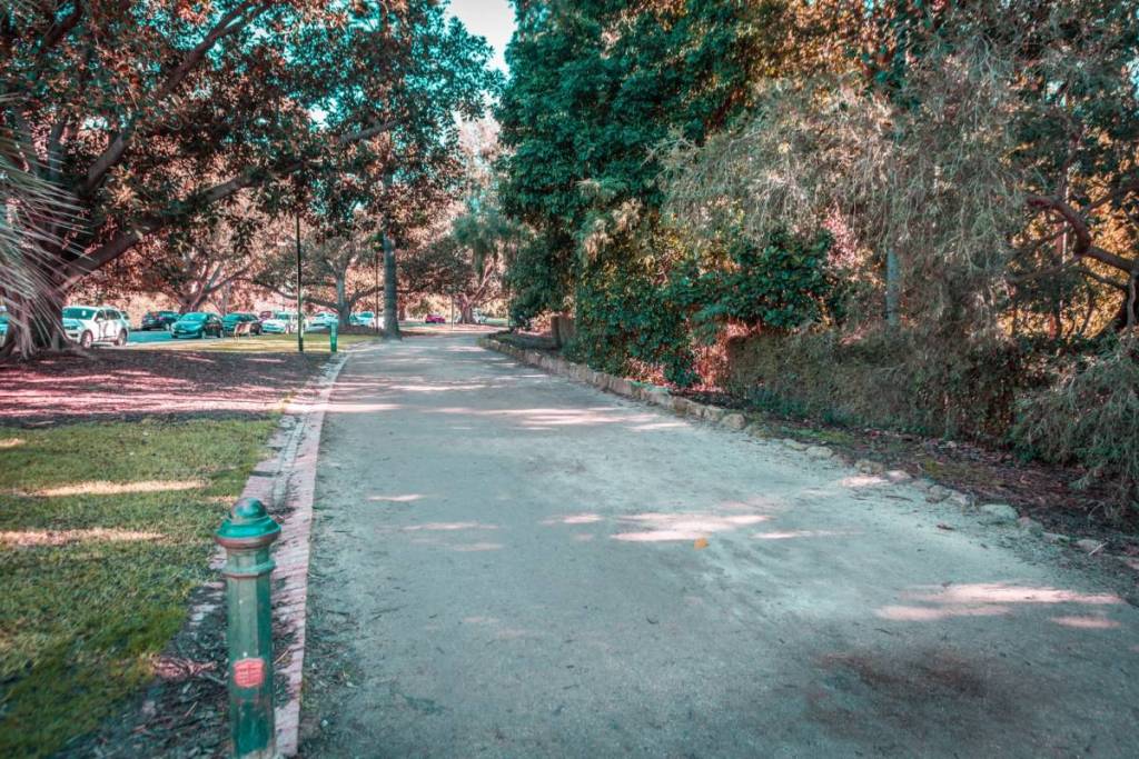 the Tan Track near the Royal Botanic Gardens on a quiet day