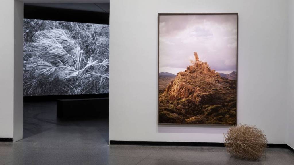 images on display at Australian Centre for Contemporary Art