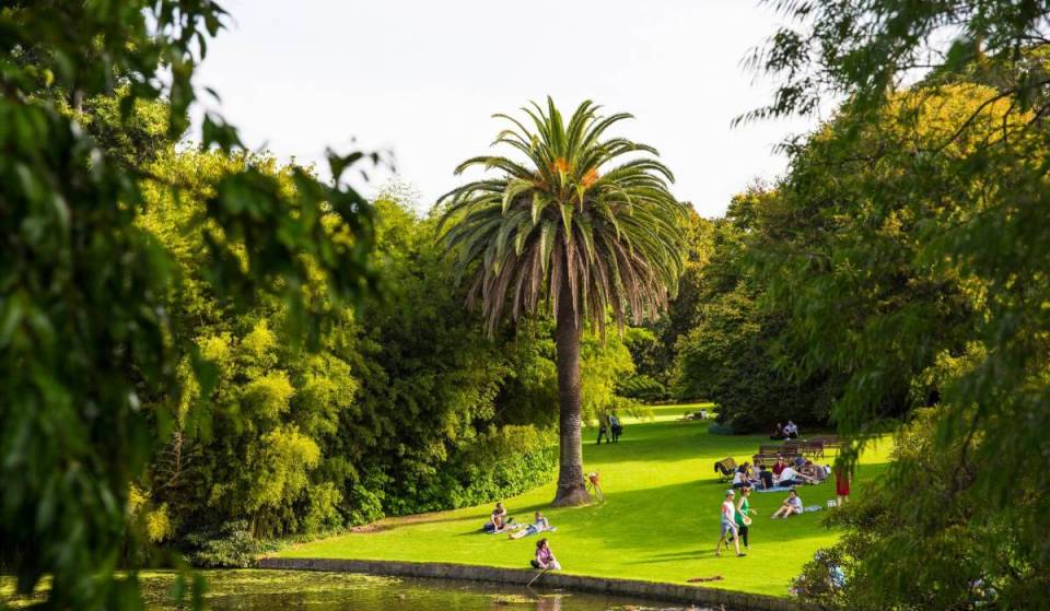The best things to do for free in Melbourne and beyond