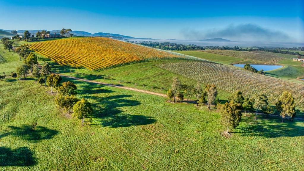 Yarra Valley, where Hollywood production, Skeletons is being shot