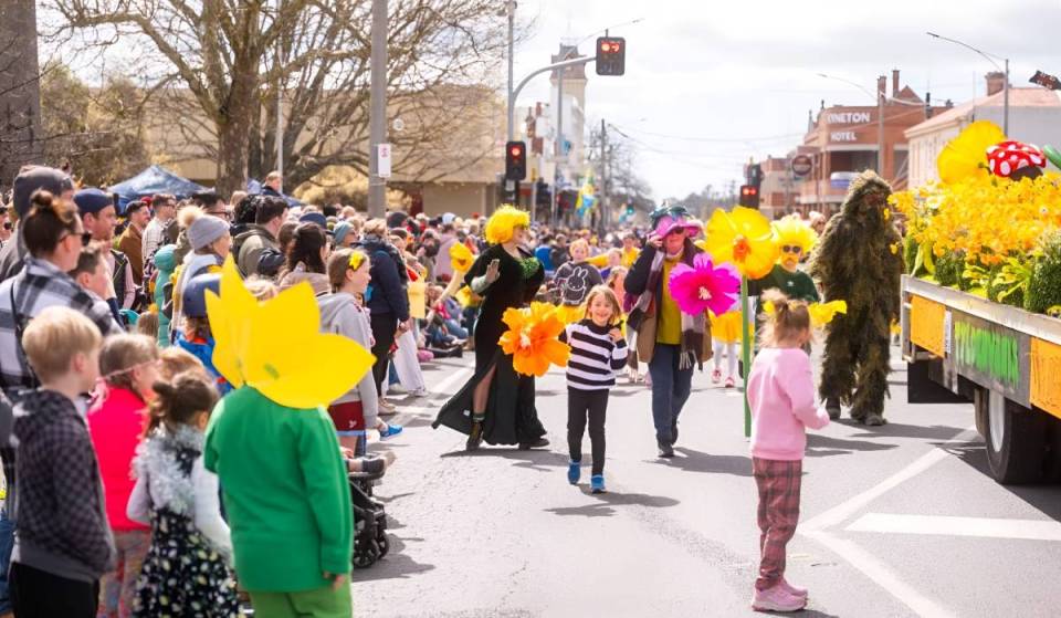 A delightful daffodil festival filled with open gardens, market stalls and more is coming to a town just 1 hour away from Melbourne