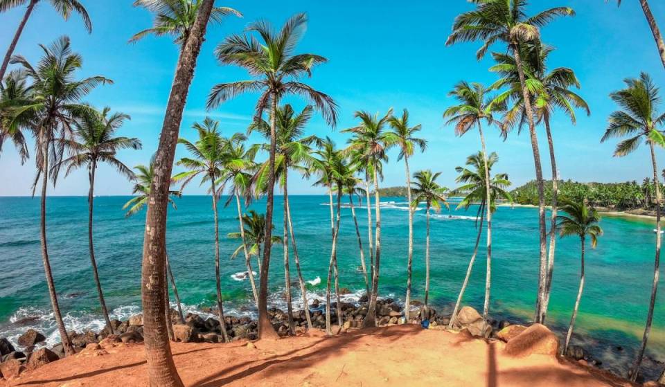 Jetstar launches direct flights from Melbourne to Sri Lanka, with $319 sale fares available until Thursday