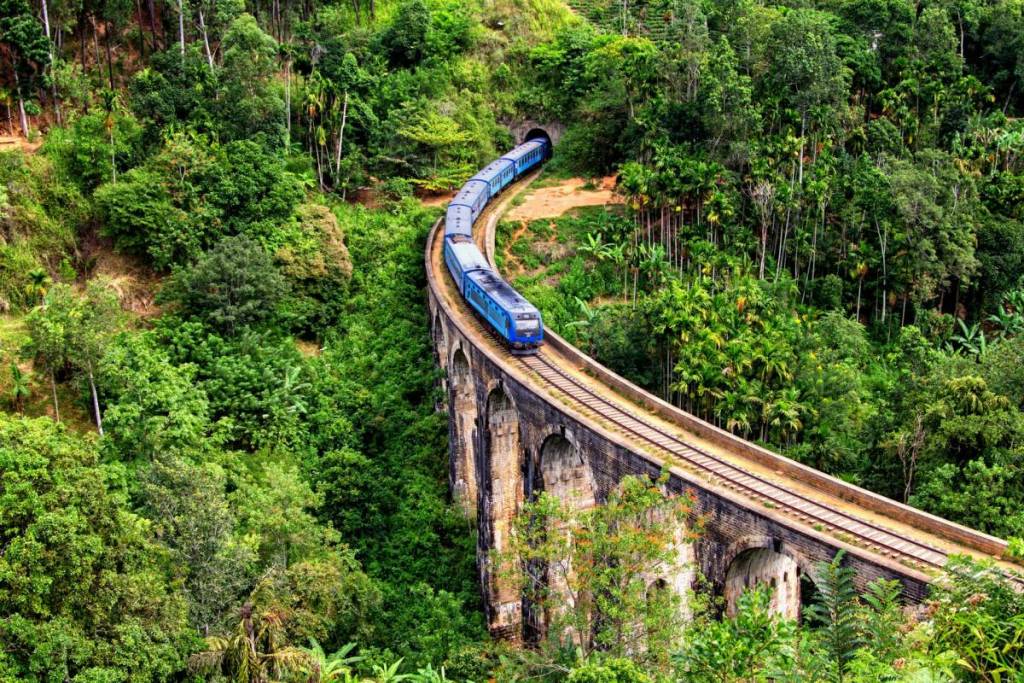 blue train on bridge above forest in Sri Lanka