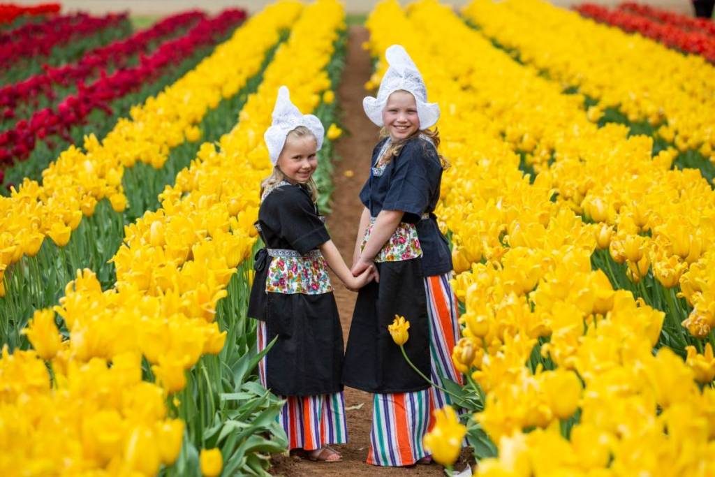 two children in traditional Dutch clothing among rows of tulips at Tesselaar Tulip Festival