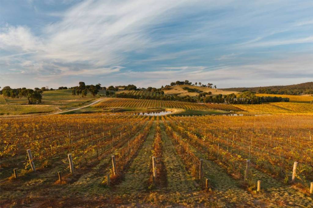 Sanguine Estate in Heathcote, Melbourne