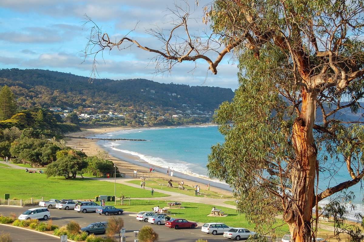 Lorne Beach curves around Loutit Bay with the coastal town and forested hills in the background