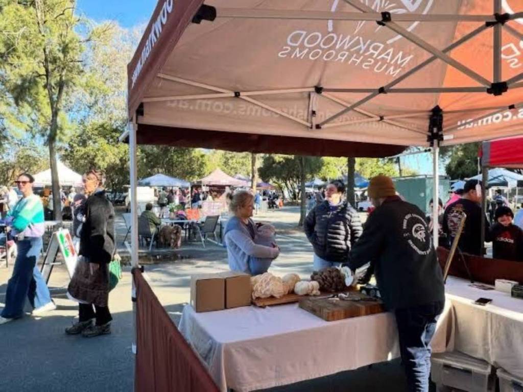 Buying artisan goods from stall at slow foodscary in melbourne