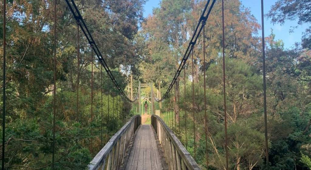 loch suspension bridge in victoria