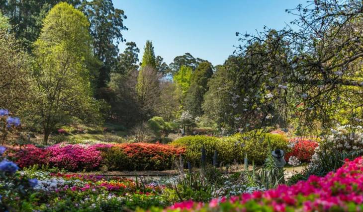 This 50-hectare floral paradise in the Dandenong Ranges is bursting into bloom this spring, with thousands of daffodils, azaleas, rhododendrons and more