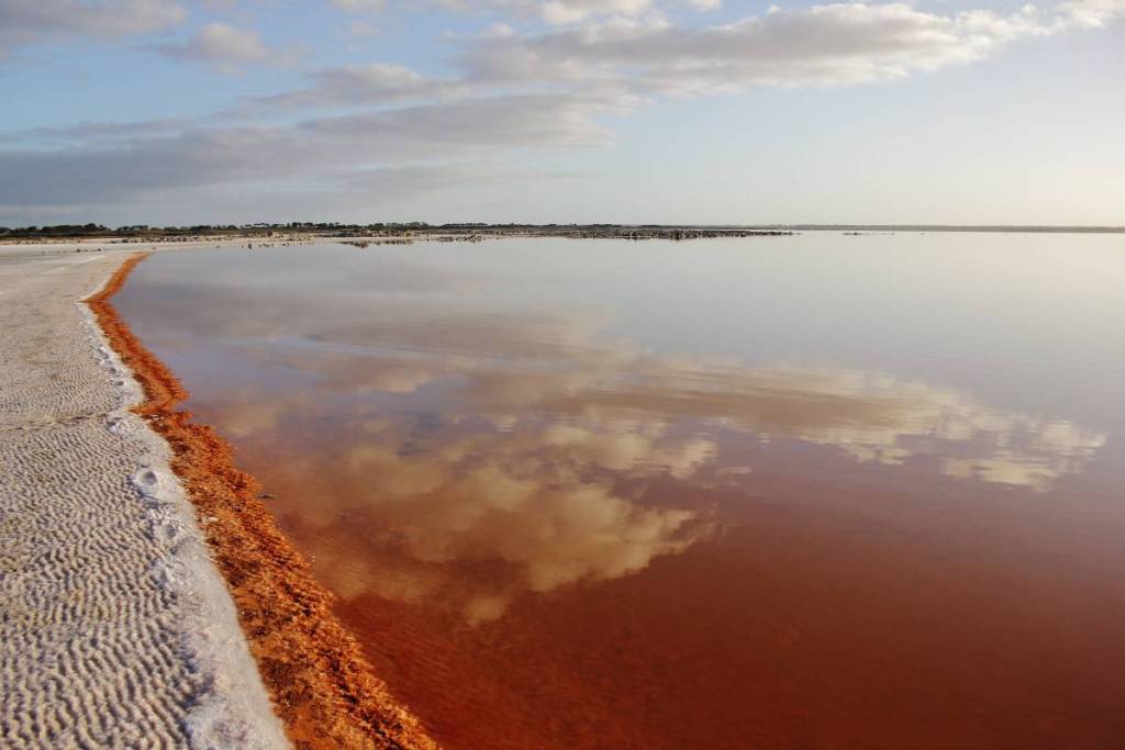 Salt covered shores, pink algae and reflection on Lake Corangamite
