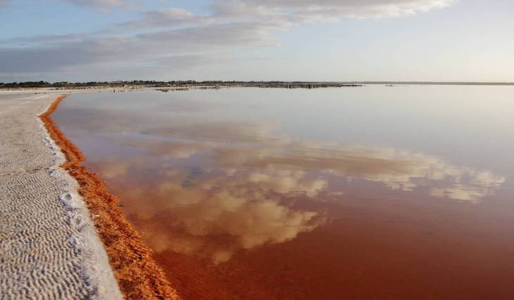 Saltier than seawater, Australia’s largest permanent saline lake sits next to a volcano and is packed with birdwatching possibilities – just 2 hours from Melbourne