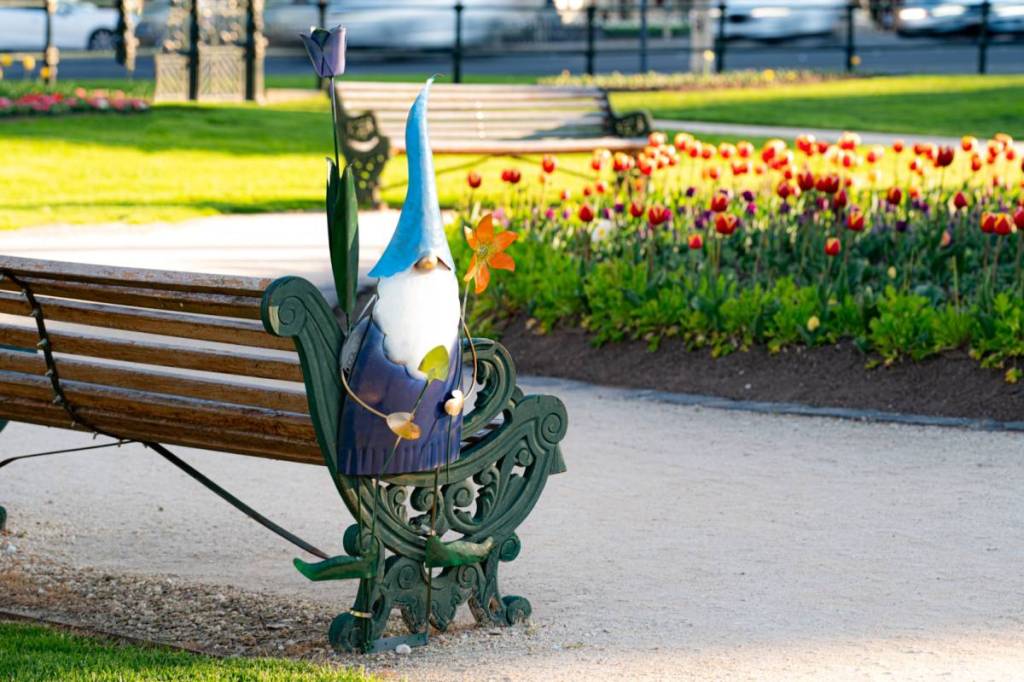 gnome on a picnic bench next to a flower bed in Bendigo