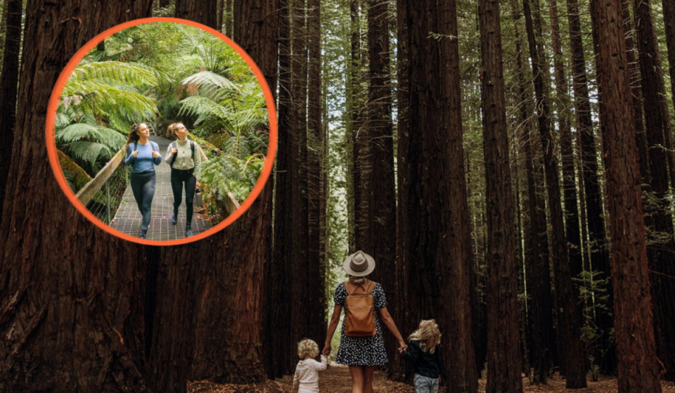 This mesmerizing ‘natural cathedral’ is just 90 minutes from Melbourne — with over 1,000 towering Californian redwoods, hidden trails and lush spring greenery