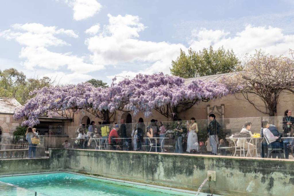 A pretty canopy of purple wisteria will soon bloom at this heritage-listed arts space in Melbourne