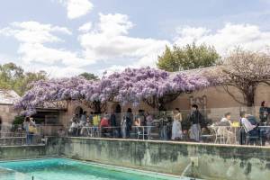 A pretty canopy of purple wisteria will soon bloom at this heritage-listed arts space in Melbourne