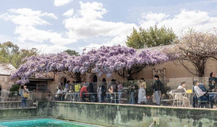 A pretty canopy of purple wisteria will soon bloom at this heritage-listed arts space in Melbourne