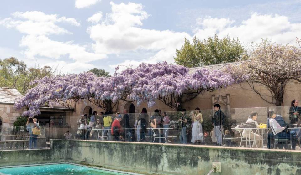 A pretty canopy of purple wisteria will soon bloom at this heritage-listed arts space in Melbourne
