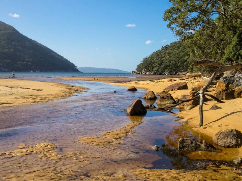 mouth of Blackfish Creek to Sealers Cove beach in Wilsons Prom