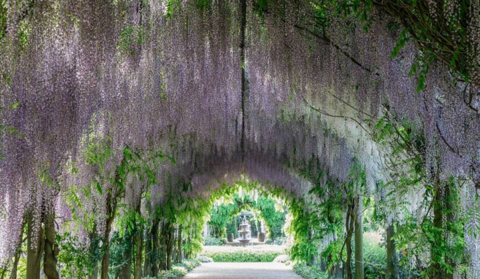 This whimsical garden just one hour from Melbourne features a 100-metre-long wisteria tunnel that only blooms for four weeks