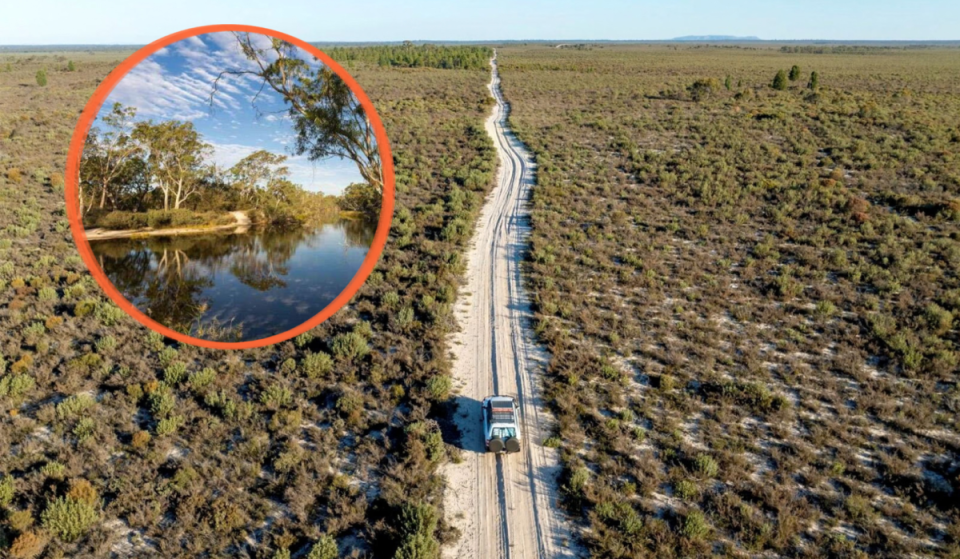 Scorched by bushfires in 2025, this iconic Victorian national park just 4 hours from Melbourne has reopened with pristine stargazing, sandy hills and hidden river country