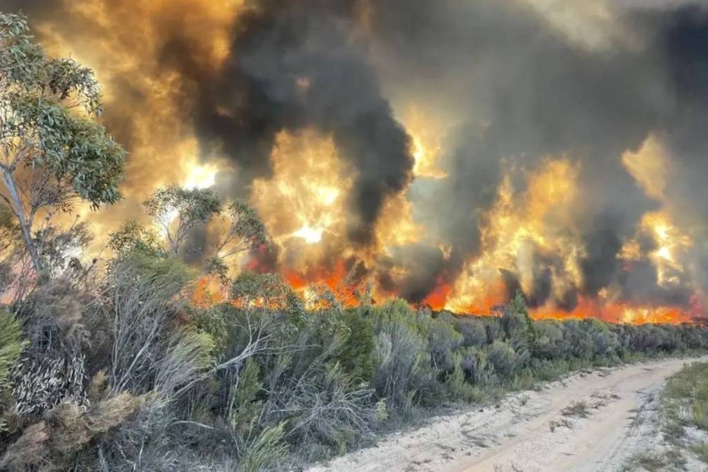 2025 bushfire in Victoria's Little Desert National Park