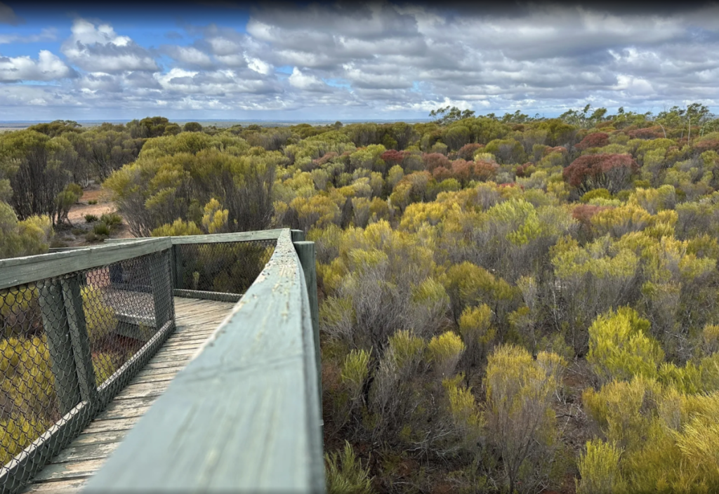 trails and walks at Little Desert National Park in Victoria
