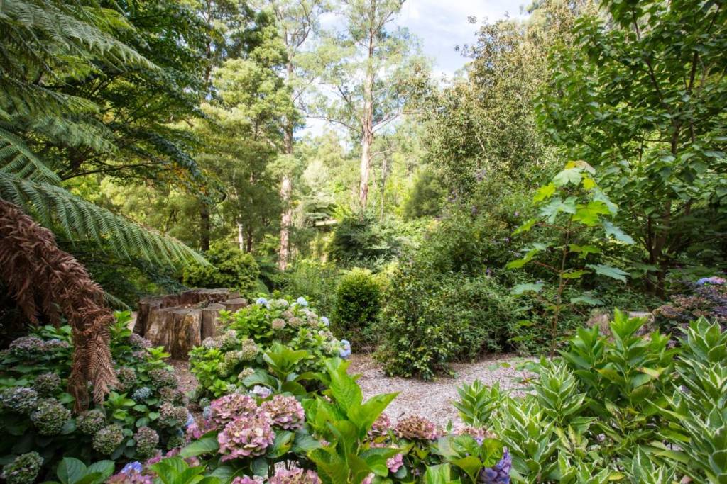 flowers blooming on a warm day, surrounded by greenery, at Alfred Nicholas Memorial Gardens