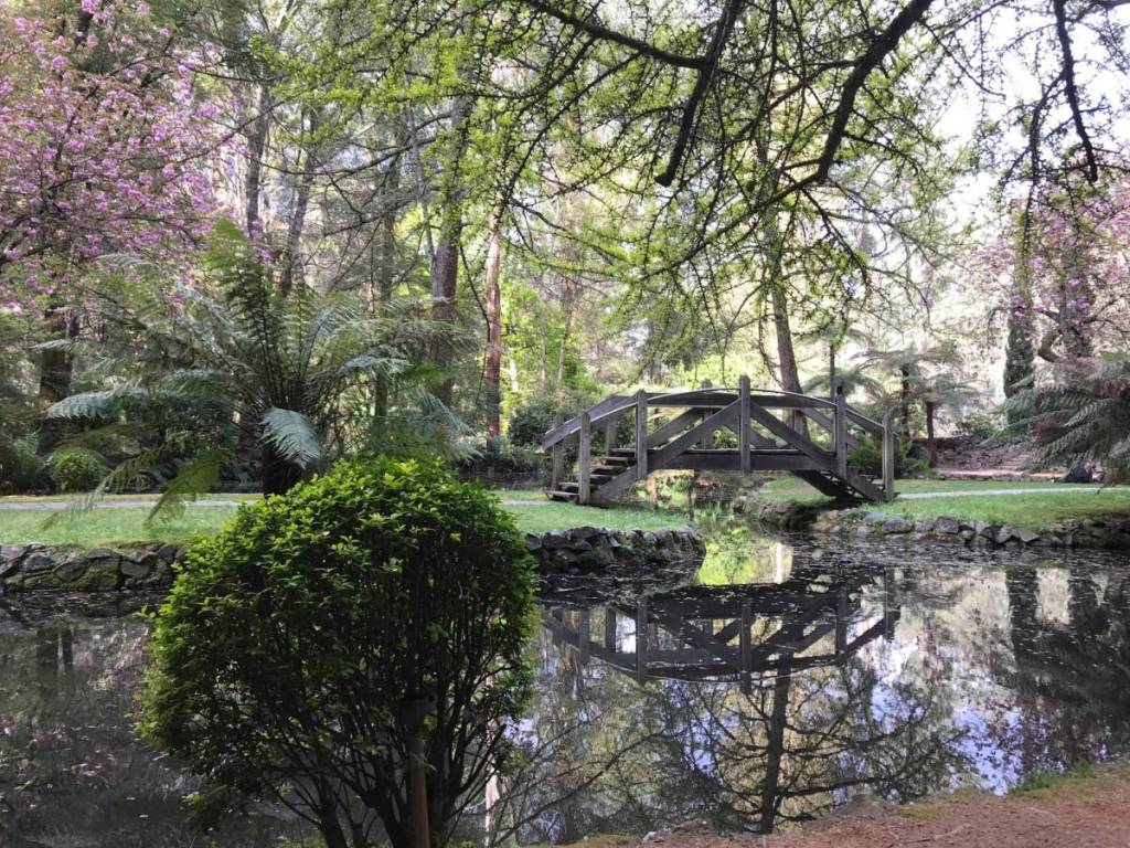 little bridge in Alfred Nicholas Memorial Gardens, with trees starting to flower in spring