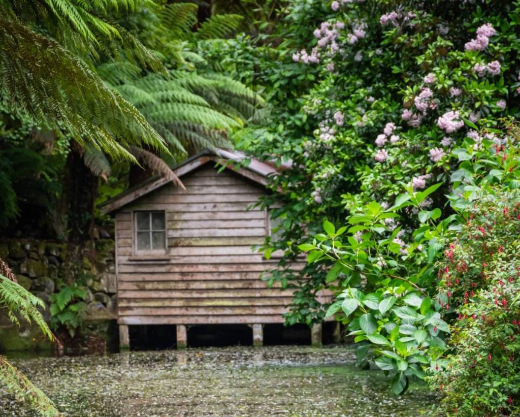 Famous for autumn but resplendent in spring, this magical garden near Melbourne has a charming boathouse and flowering cherry trees