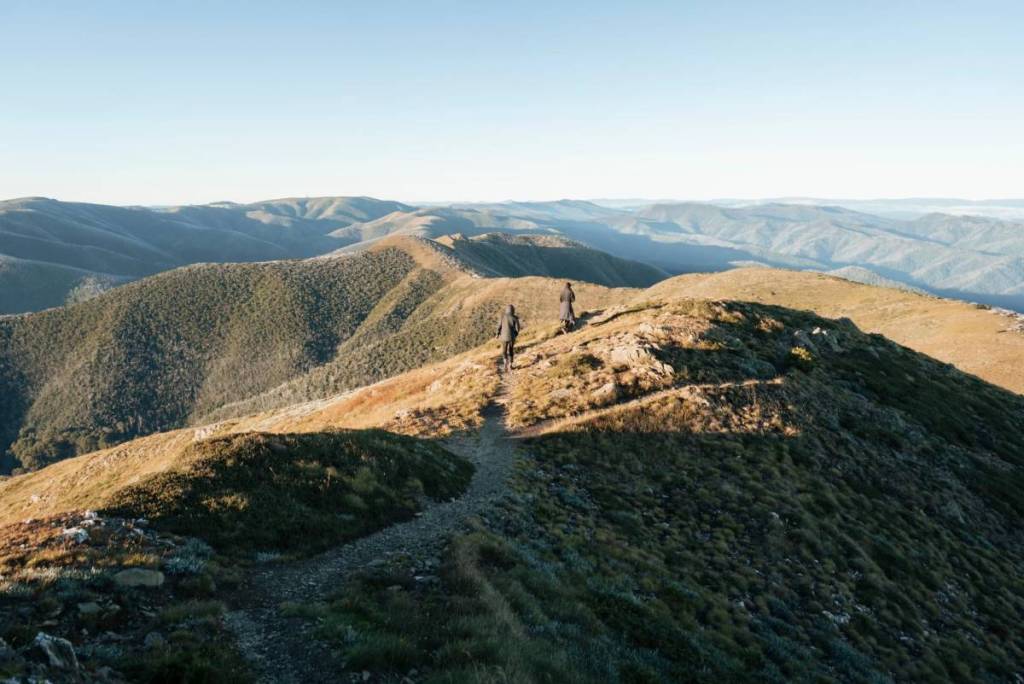 people walking on razorback trail to Mount Feathertop, surrounded by mountain peaks