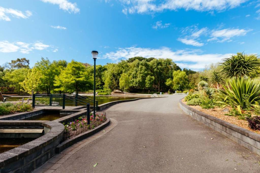 wide path on a sunny day at Wilson Botanic Park