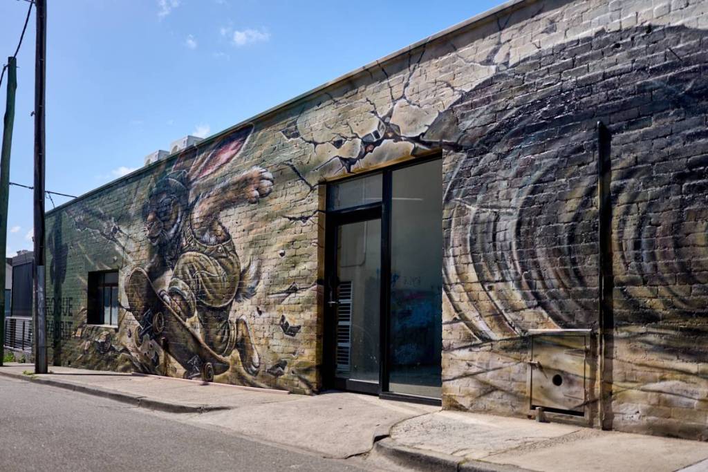 30m mural outside rogue rabbit cafe in northcote, melbourne
