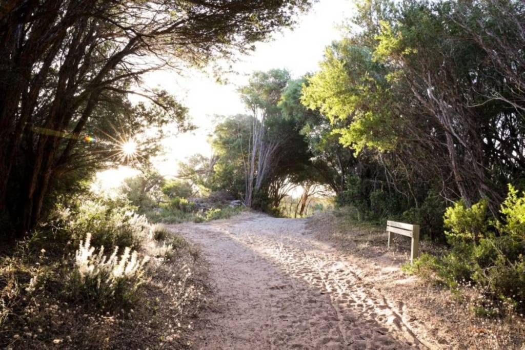 point smythe walk in walkerville
