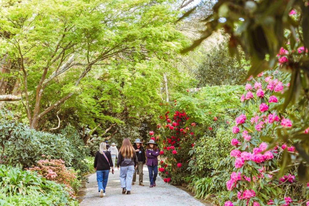 people walking through Bolobek Garden, with flowers blooming and mature trees with lush foliage