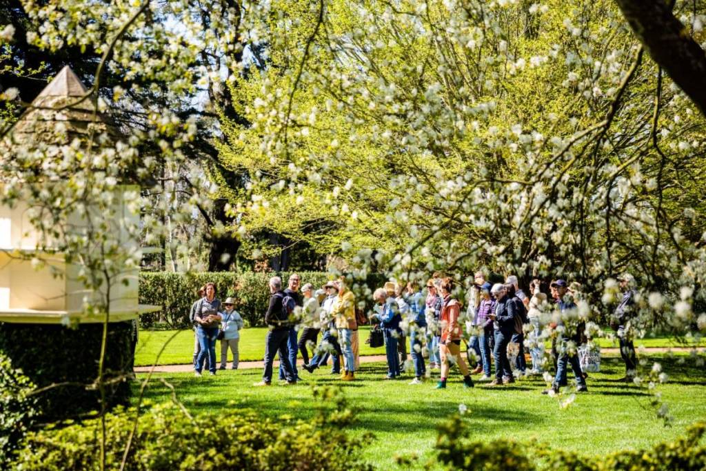 blossoming trees in foreground, with people in distance, potentially on a guided tour at Bolobek Garden Fair