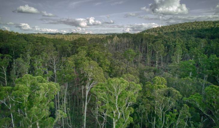 Victoria has three new national parks for the first time in over a decade, spanning 65,000 hectares