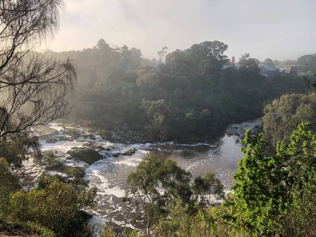 view of Buckley Falls on a misty day