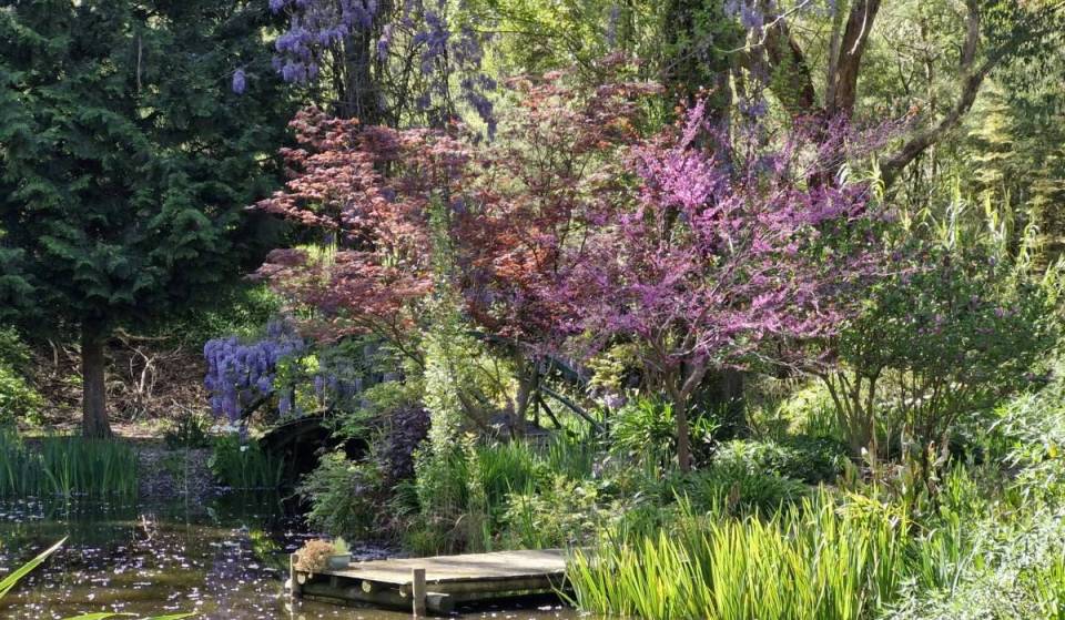 Tucked away in the Mitta Valley, there’s an enchanting ‘Witches Garden’ filled with medicinal plants, a medieval cottage and a Monet-inspired bridge