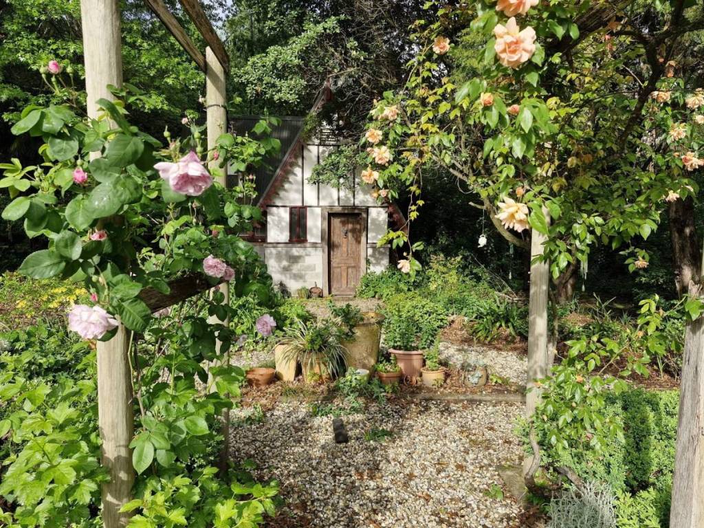 witch cottage framed by rose bushes