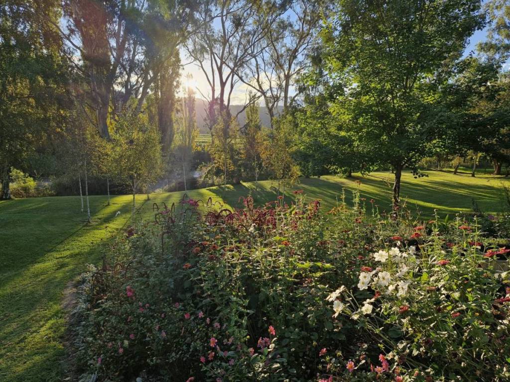 view of sun peeking through the trees over the river, with flowers in foreground and a lawn in between