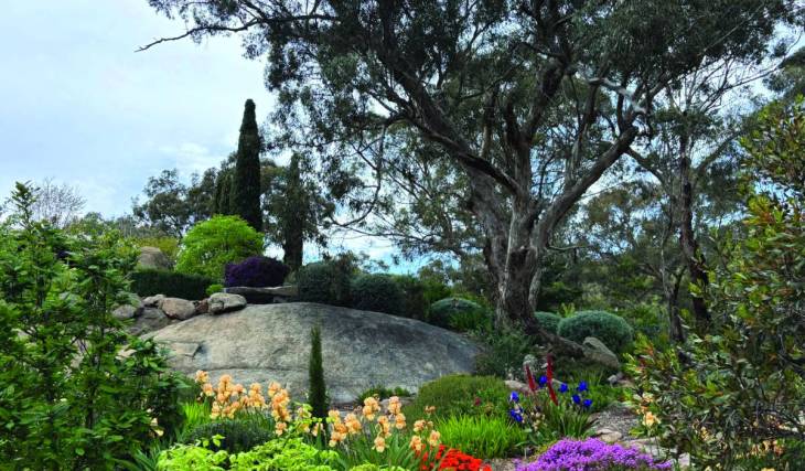 Running every two years, this spring festival 90 minutes from Melbourne will bloom once more, with 19 private gardens opening to the public