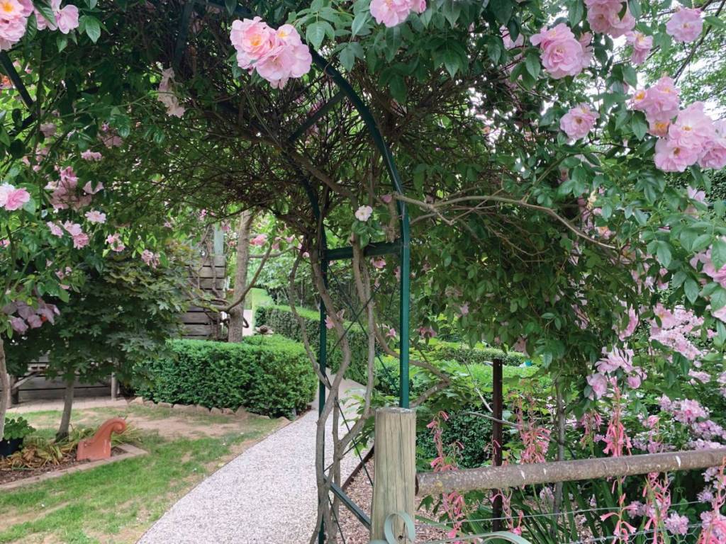 a rose arbour and a pathway at one of the venues for Castlemaine Festival of Gardens