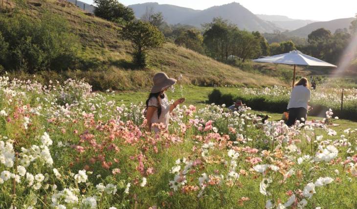 Pick your own flowers, have a picnic and sip Prosecco at this enchanting farm 80 minutes from Melbourne