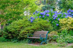 In 1980, this scientist’s garden in the Dandenong Ranges was donated to the state; today, it’s thriving with colourful spring blooms