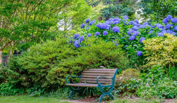 In 1980, this scientist’s garden in the Dandenong Ranges was donated to the state; today, it’s thriving with colourful spring blooms